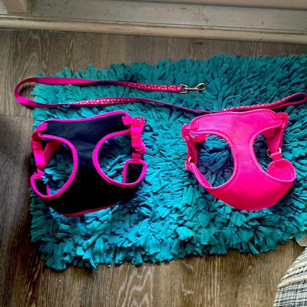 Dog harness set with leash